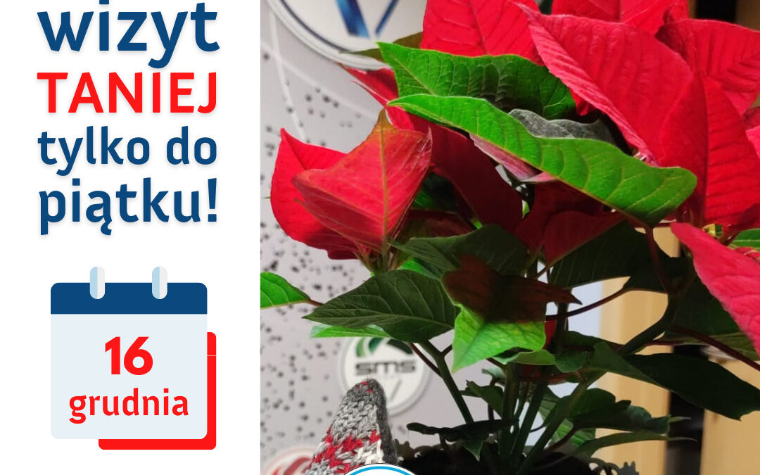 Fizjoterapia Tychy